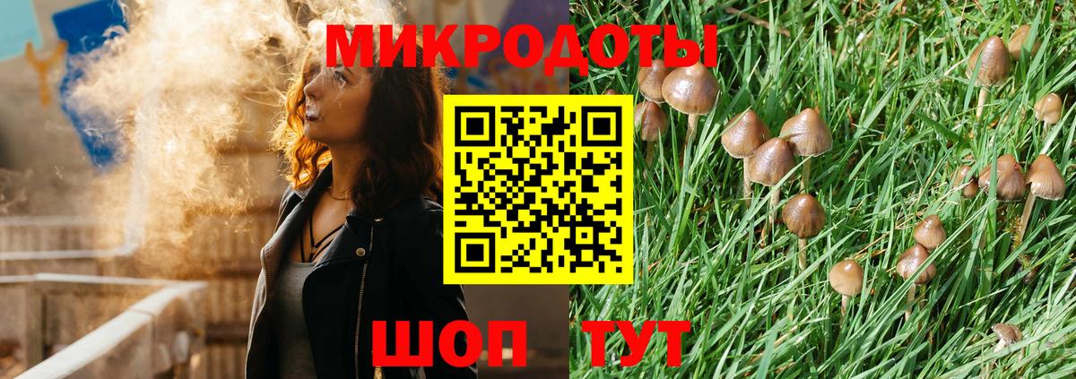 где купить наркотик  Галлюциногенные грибы мухоморы  Ногинск  Вход с VPN  Галлюциногенные грибы мицелий 