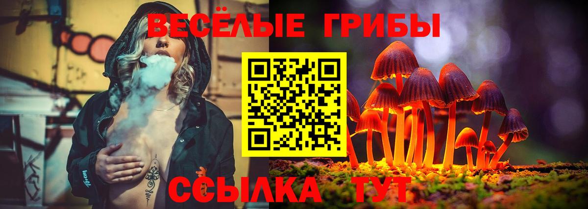 Псилоцибиновые грибы Cubensis Ногинск